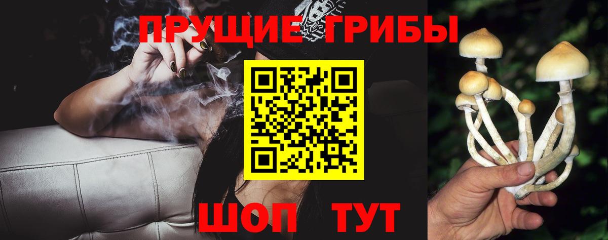 Ачинск  Галлюциногенные грибы Psilocybe  Галлюциногенные грибы MAGIC MUSHROOMS  Вход с VPN 